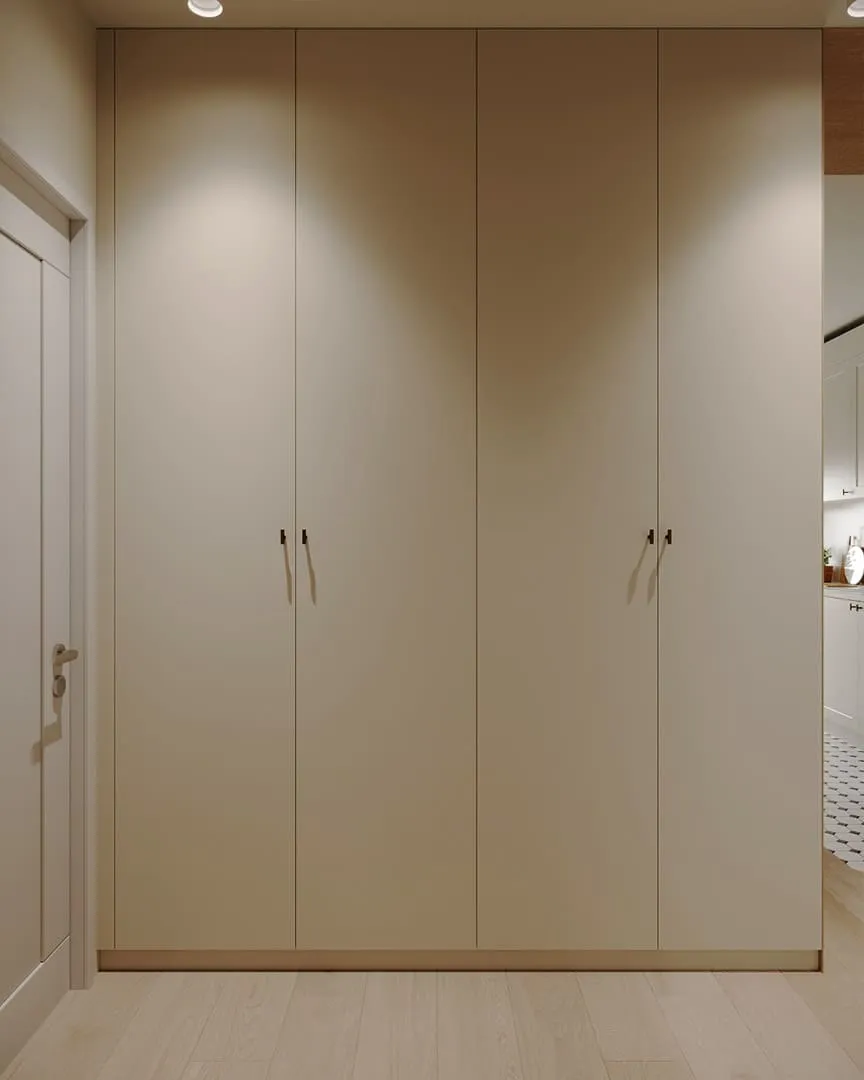 Дизайн інтер’єру коридору з вмісткою шафою